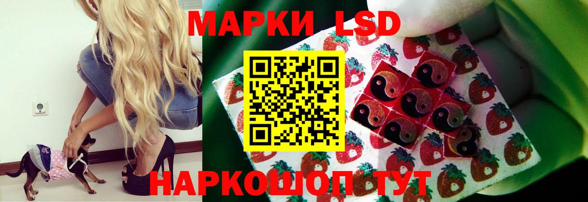 Новокубанск  Лсд 25 экстази ecstasy  Вход с VPN  LSD-25 экстази кислота 